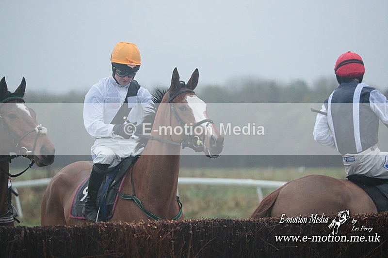 PtP 101223 448 - New Forest Hounds PtP Larkhill 10/12/23