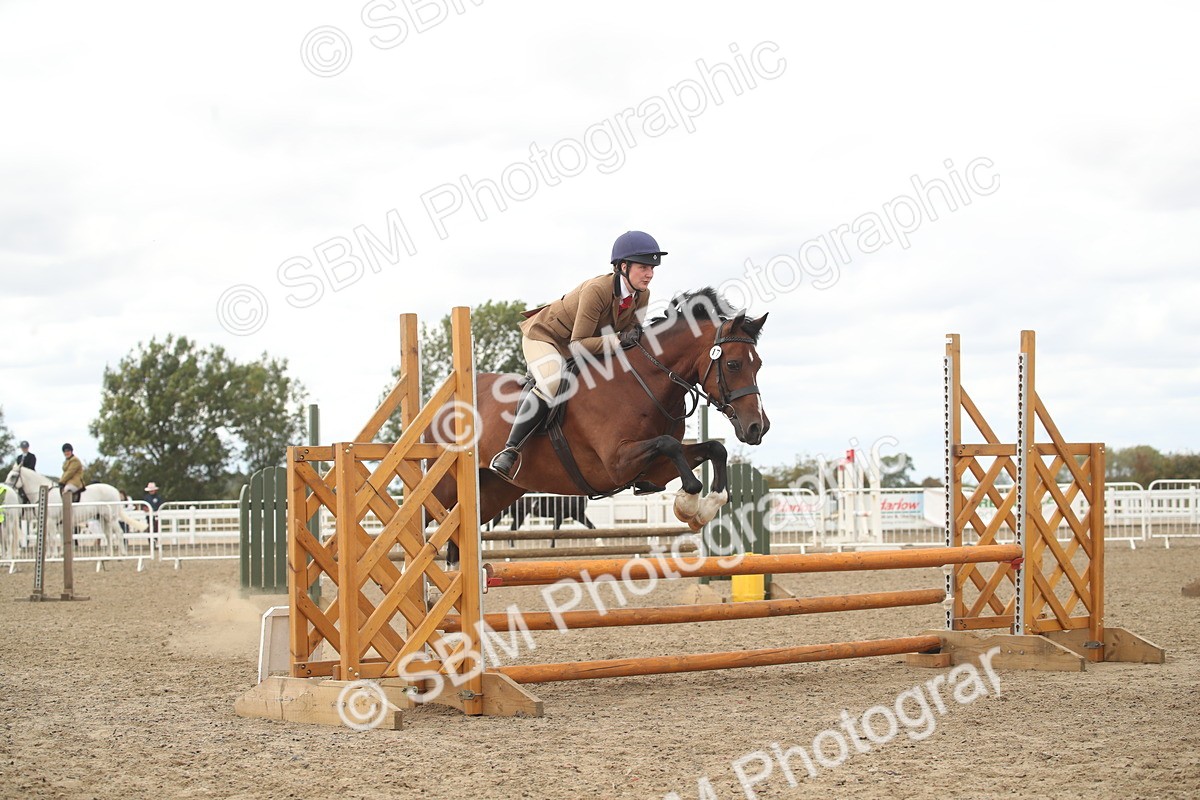 SBM_17640 - Class 508a - Working Veteran 70cm (15-19)