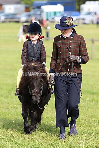 IMG_2135 - Working Hunter