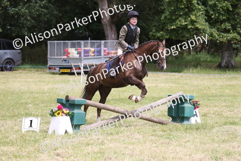 20260614-2840 - Class 22 - Open Working Hunter
