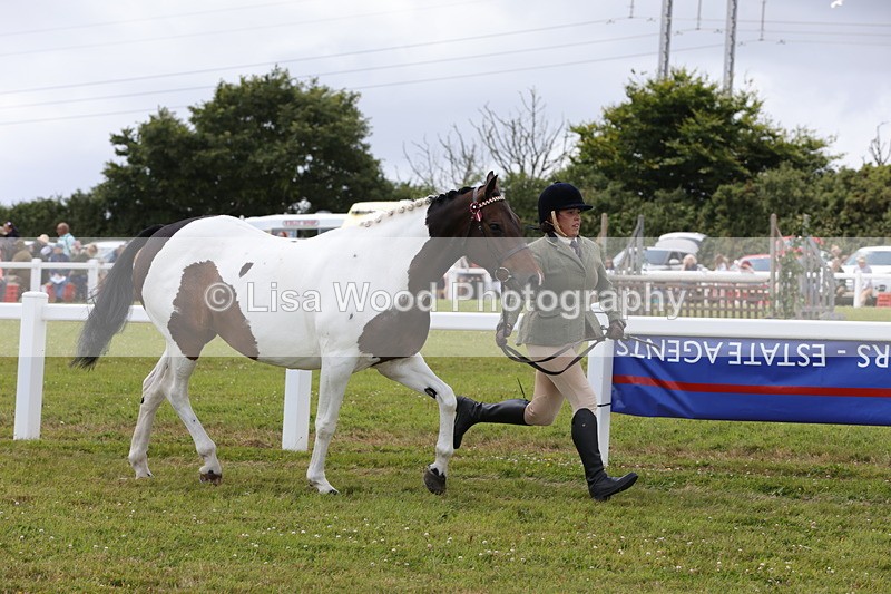 1X9A4738 - Class 35: Veteran In Hand