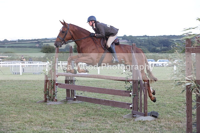 JPP_3677 - Class 24: Open Working Hunter