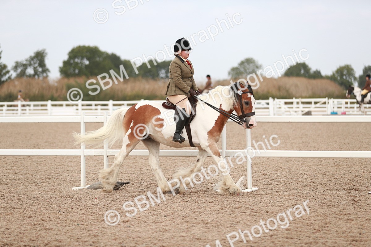SBM_16661 - Class 214 Ridden Cob