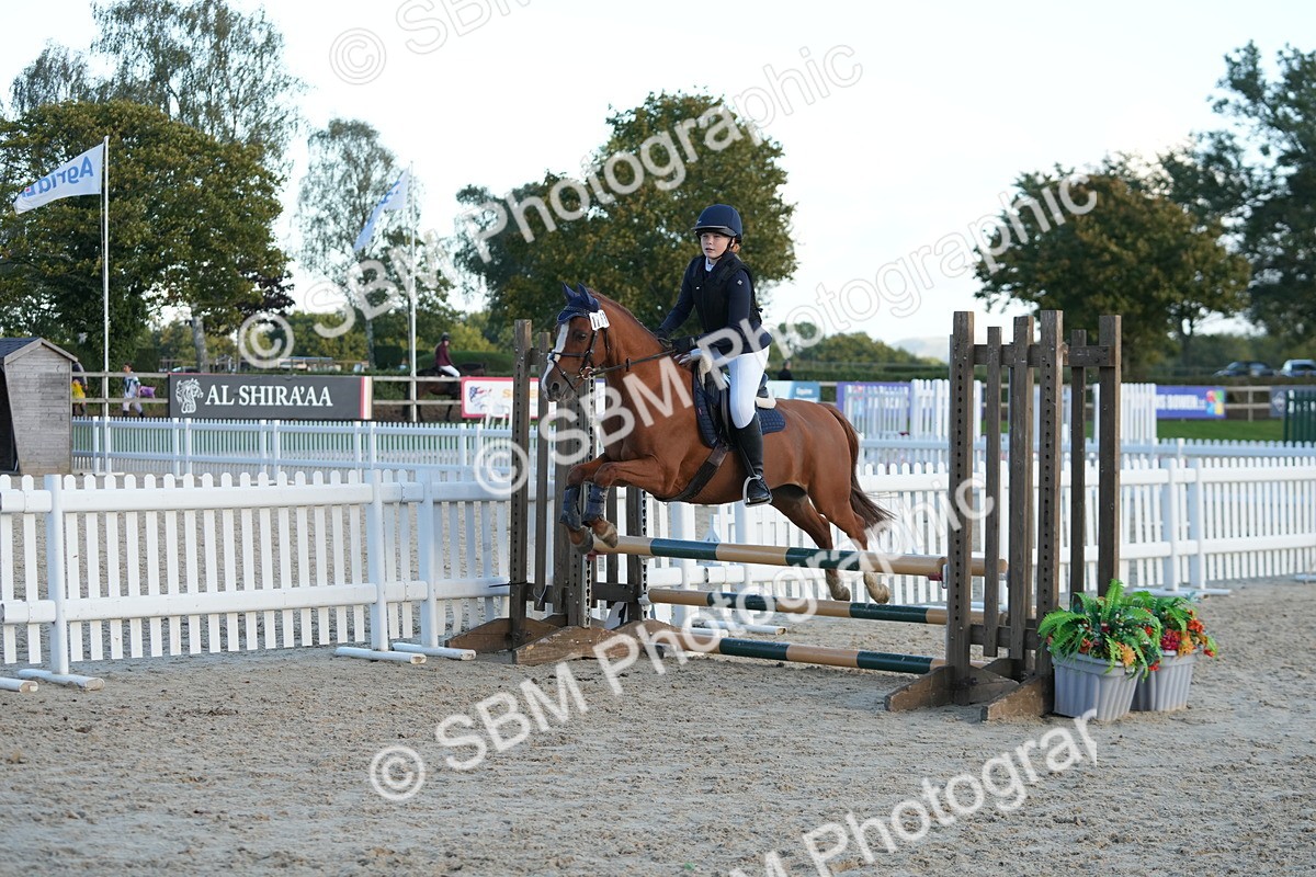 SBM_54174 - Supreme Championship 60cm 65cm