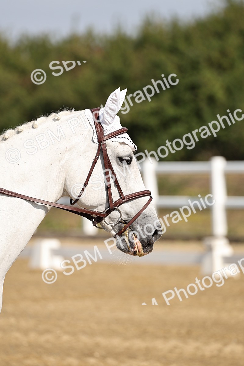 SBM_017051 - Class 12-14 - Intro 2-Prelim 5