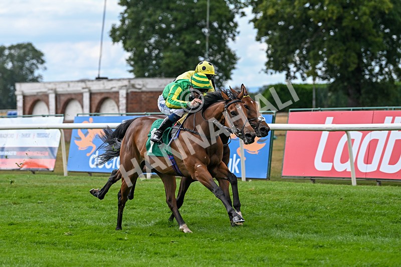 290825-Race 2-Brigids Well-8370 - Race 2