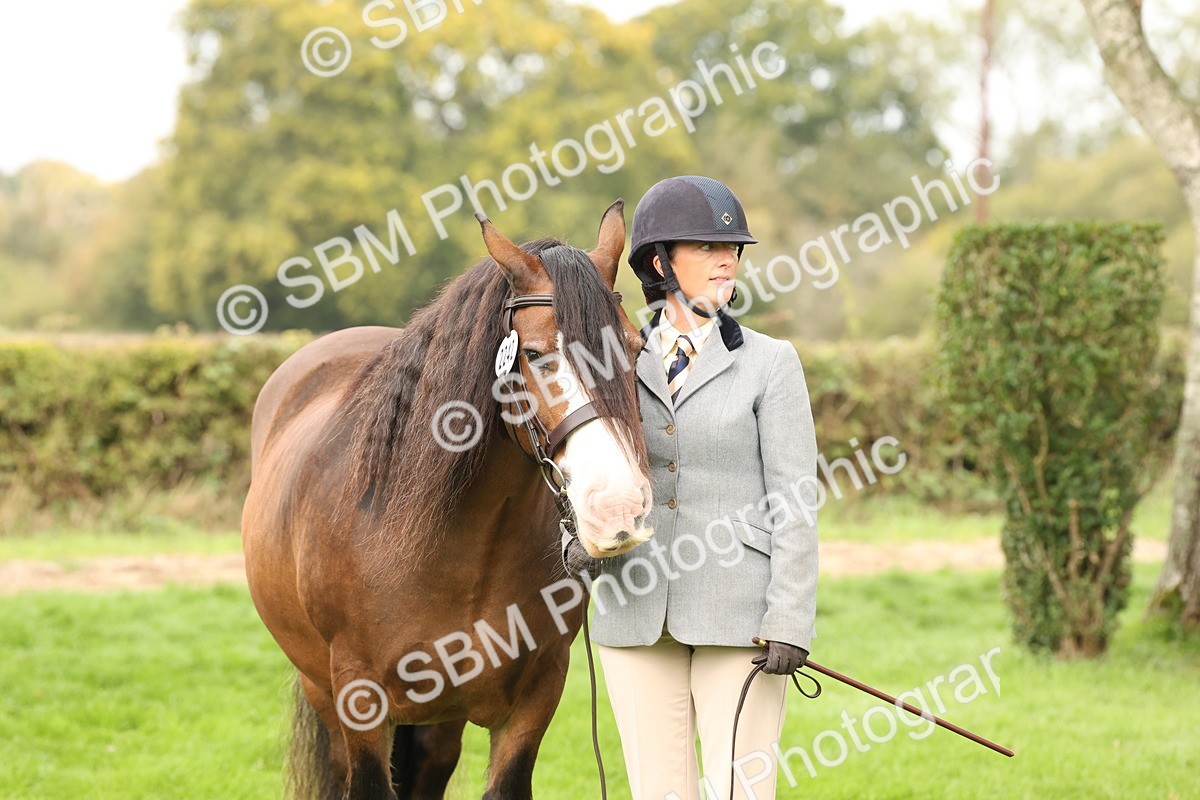 SBM_59344 - S57 - Traditional Cob In Hand