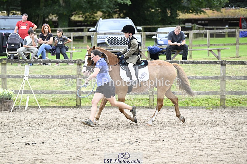 240822X-150044-11483 - 40cm A R2 15.00 to 16.16