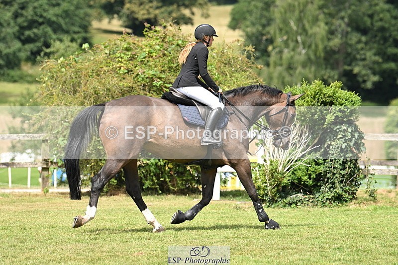 250704A-113222-07286 - Cls 25 Snr British Novice and 90cm