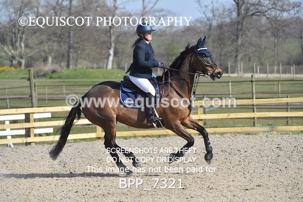 BPP_7321 - CLASS 2 Senior British Novice/ 90cm Open