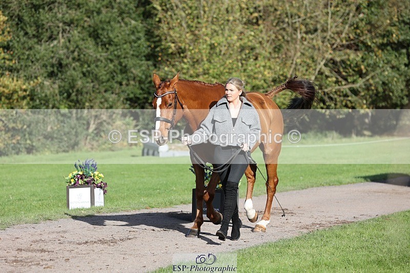 241027-101605-15775 - 512-Elisha.O'Brien-HIGHLIGHT.ROLLER