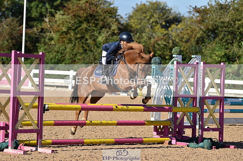 230903A-092942-03523 - Cls 17 Pony Intro 75cm