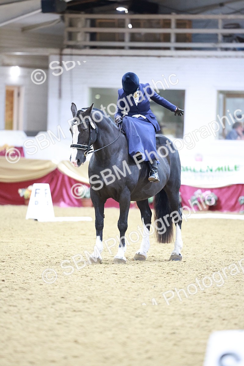 SBM_09910 - Class 61 - Dressage to Music