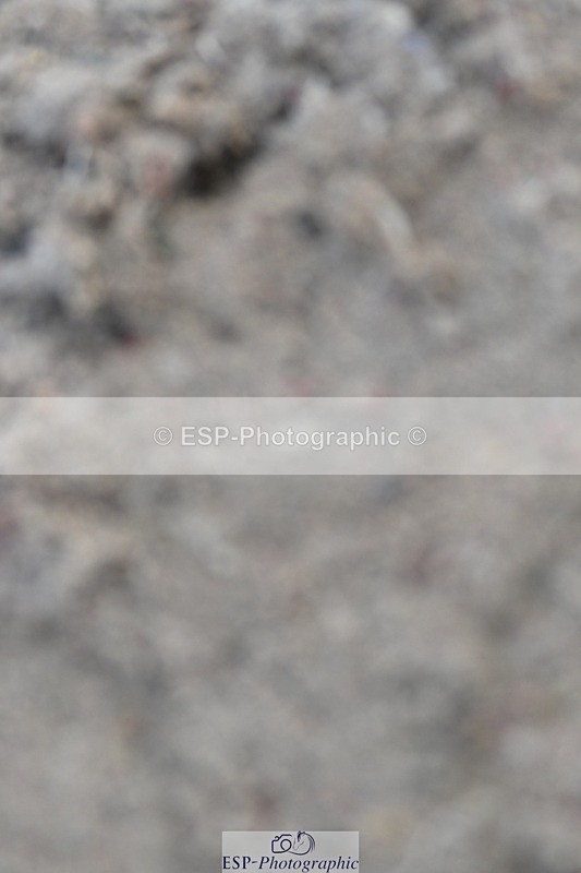 250125-122912-00449 - Dressage - CT Class 6 BE102