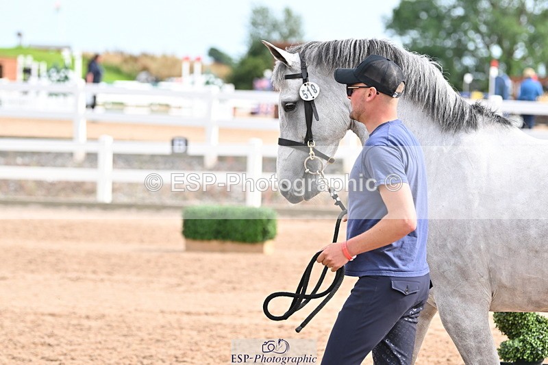 240717A-165819-03583 - Trot Up 4pm to 5pm