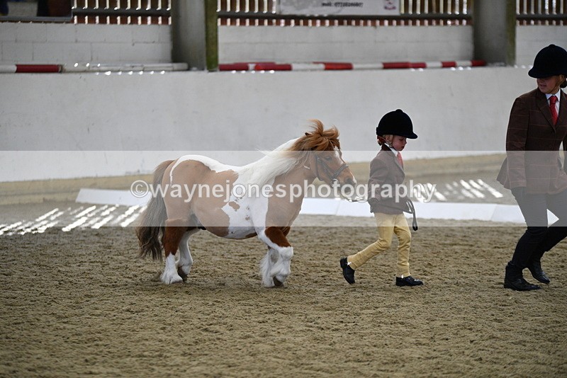 WJ5_4903 - Class 7 In hand coloured / odd coloured