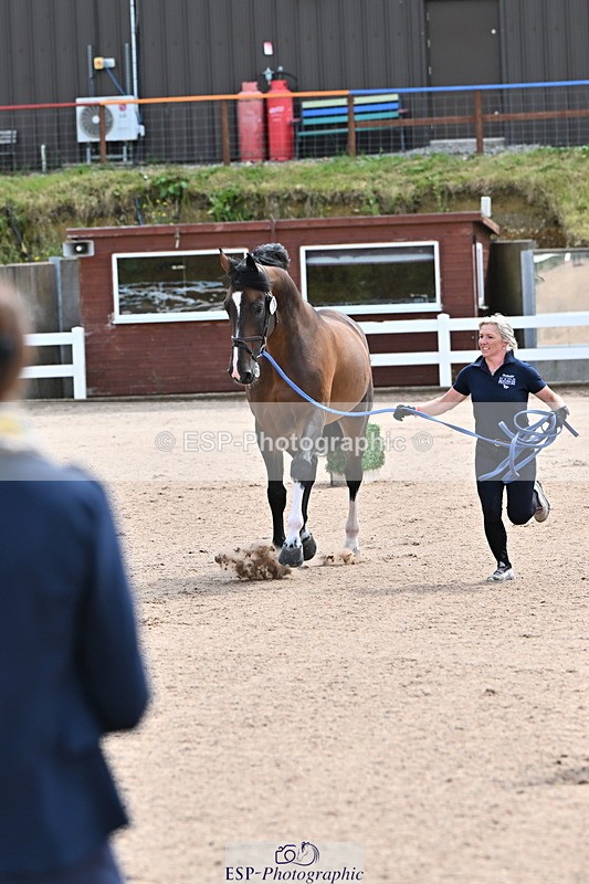 240718A-105236-00877 - Trot Up 11am to 12pm