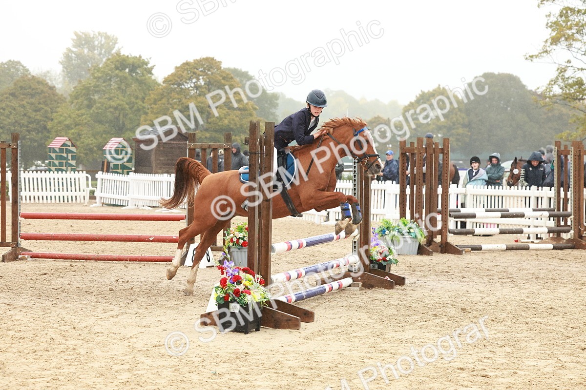 SBM_73356 - Supreme Championship Junior Pony 60cm & 65cm