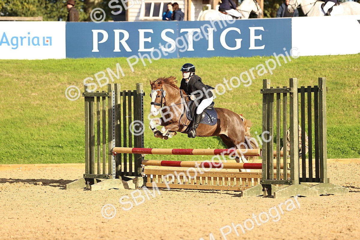 SBM_52016 - J10 - Junior Pony 75cm Championship