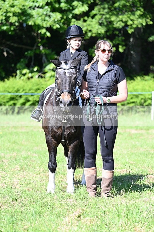 WJ7_0380 - Class 8 First Rally Pony