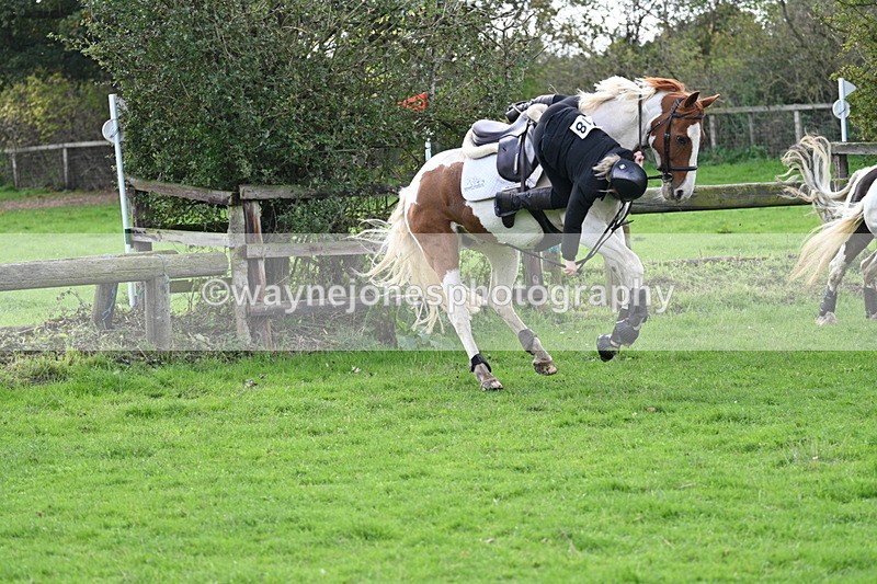 WJ7_8276 - Time 12:12 to 12:37