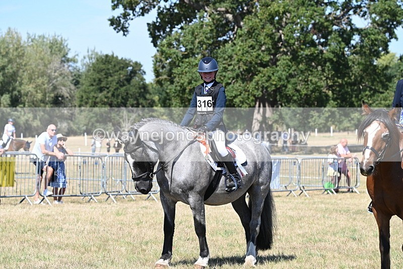 WJ6_8470 - Class 37a Best Loan Pony Ridden