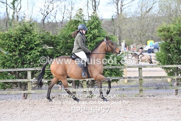 BPP_6957 - RING 1  (RIDDEN HORSES / IN HAND / VETERAN ETC)