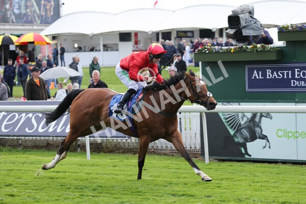 yr11052022r3-20 - Race 3 3.00pm 1895 Duke of York Clipper Logistics Stakes