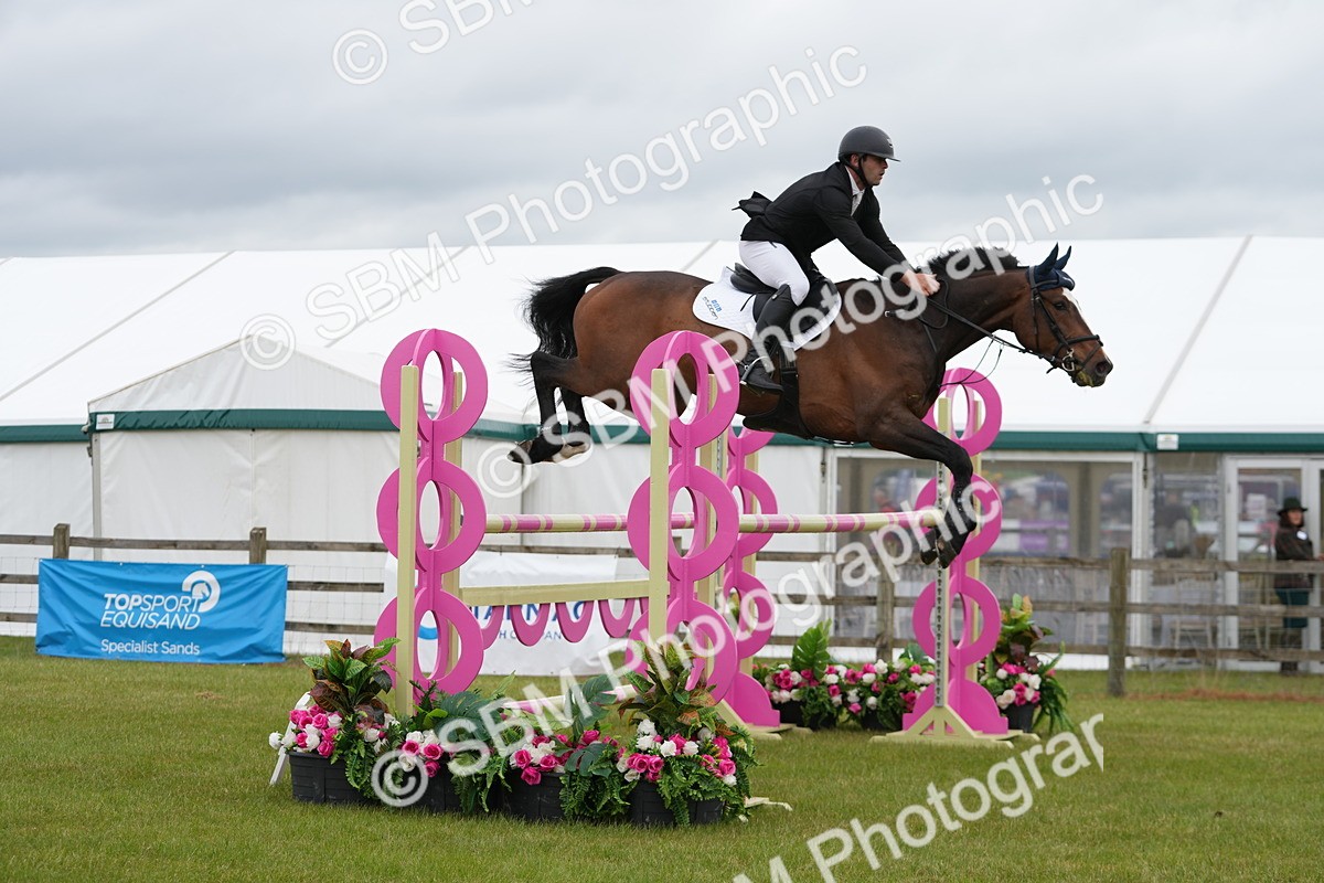 SBM_03278 - Class 201 - British Horse Feeds Speedi Beet Horse of the Year Show Grade  C