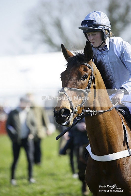 PtP 200322 106 - Mendip Farmers Point-to-Point 20/03/22