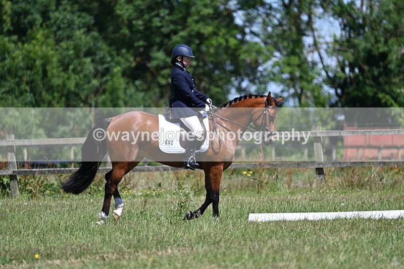 WJ7_0324 - Time 11:00am to 11:27am