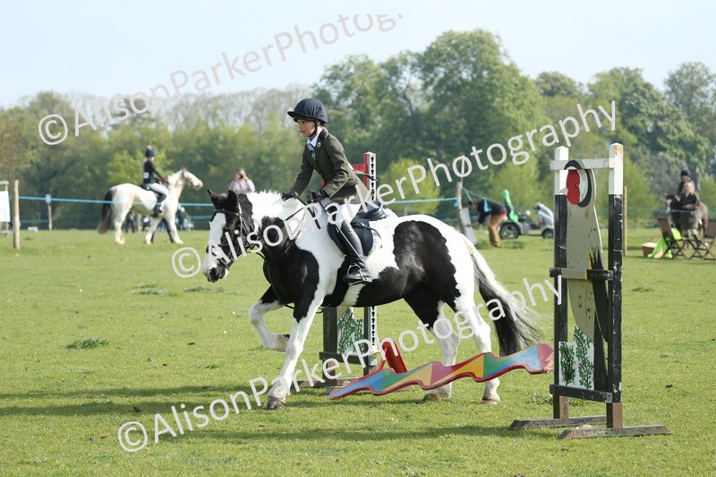 20260426-0025 - Class 13 - Rookie Jumping 50cm