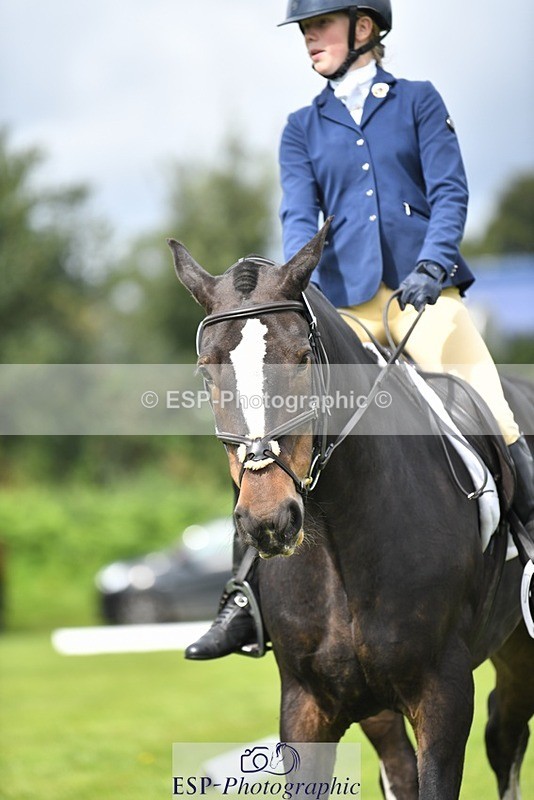 230826-111917-15825 - Sections C & D 10 to End