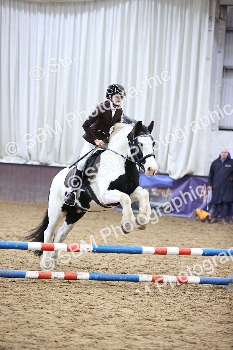 SBM_001183 - Class 3 - Horse & Hound 60cm