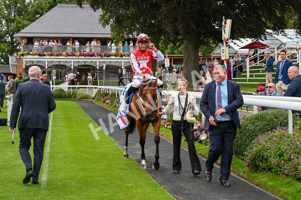 270724-Race 1-Night On Earth-9107 - Race 1 2.05pm Sky Bet 'Jump Jockeys' Nunthorpe' Handicap