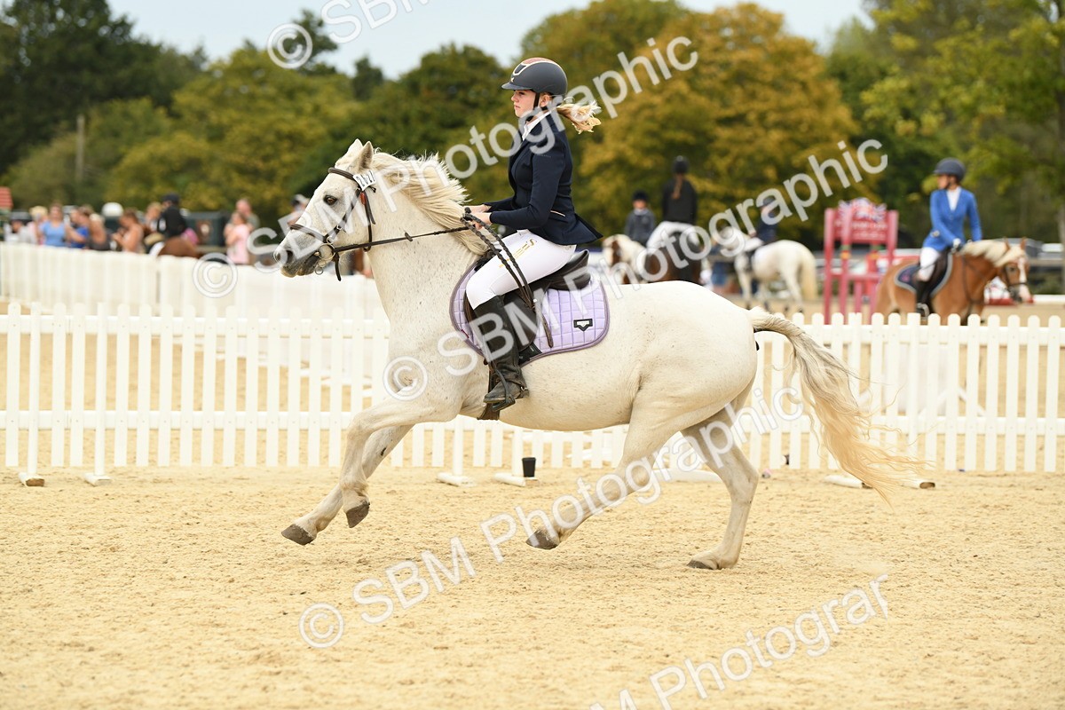 SBM_72977 - J16 - Junior Pony 75cm Championship