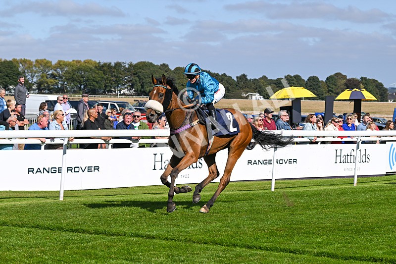 180924-Race 1-Tees George-3718 - Race 1