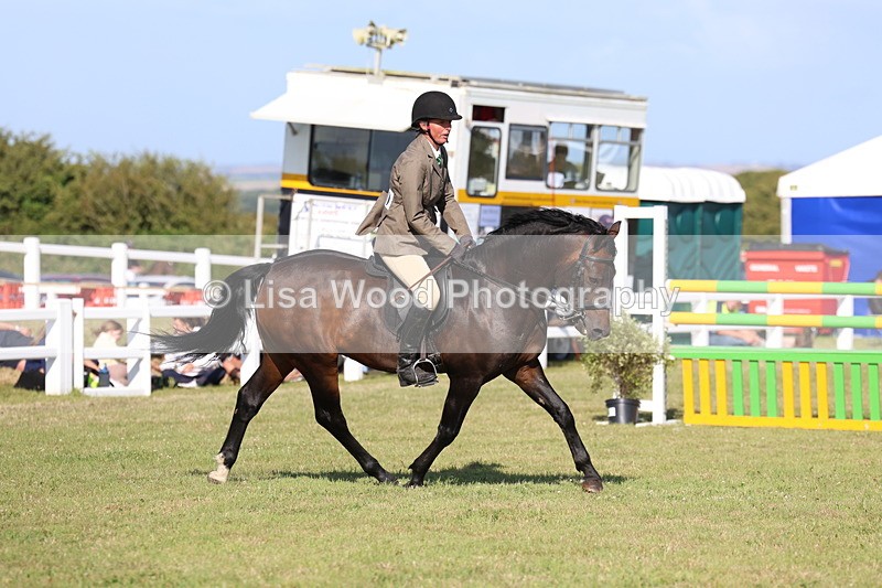 3E7A4161 - Supreme Championship