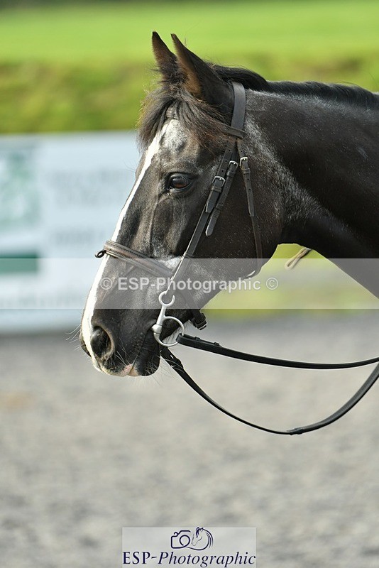 230817-085248-00029 - Theo's 1st Group - Arena