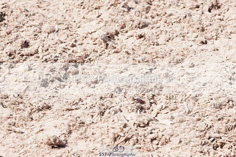 250503-144526-01589 - Cls 28 Springboard