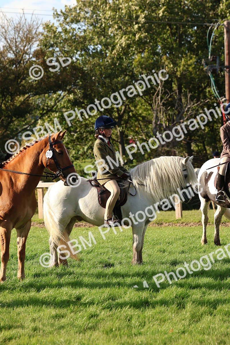 SBM_52619 - S13 - Pony Club Pony