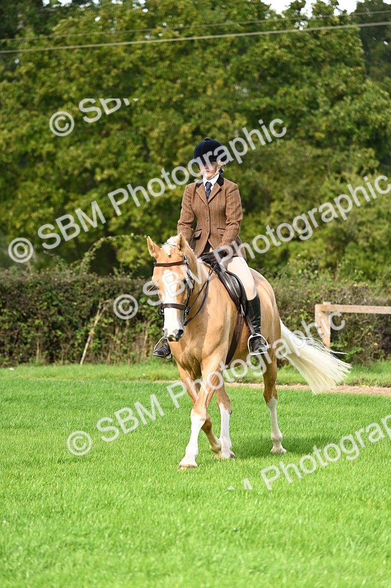 SBM_01703 - S2 - TSR Ridden Horse Showing