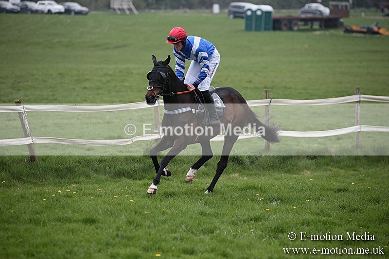 PtP 210418 54 - South & West Wilts Point-to-Point Larkhill 21/04/18