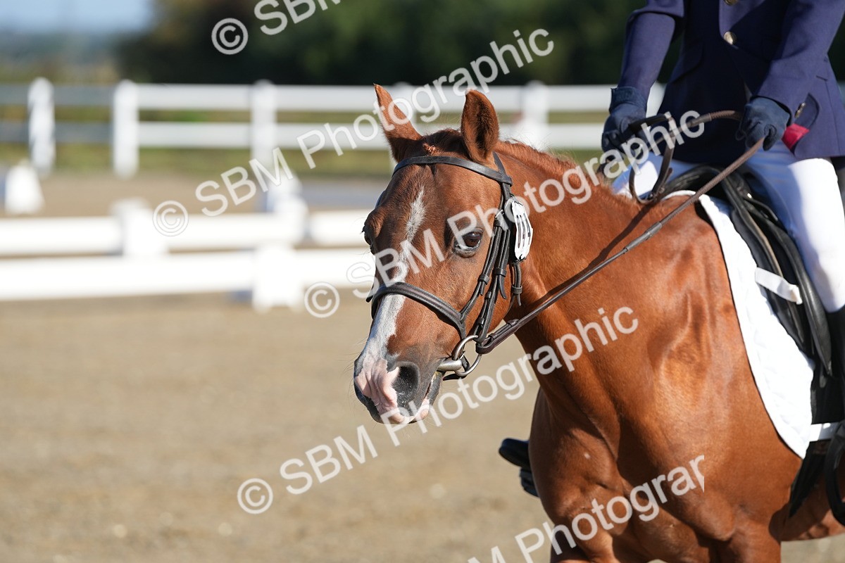 SBM_000202 - Class 2 - Intro 4 Champs - 8.30-9.26