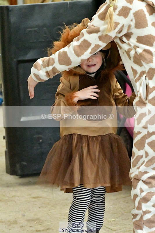 230804A-100057-01544 - Stable Shots