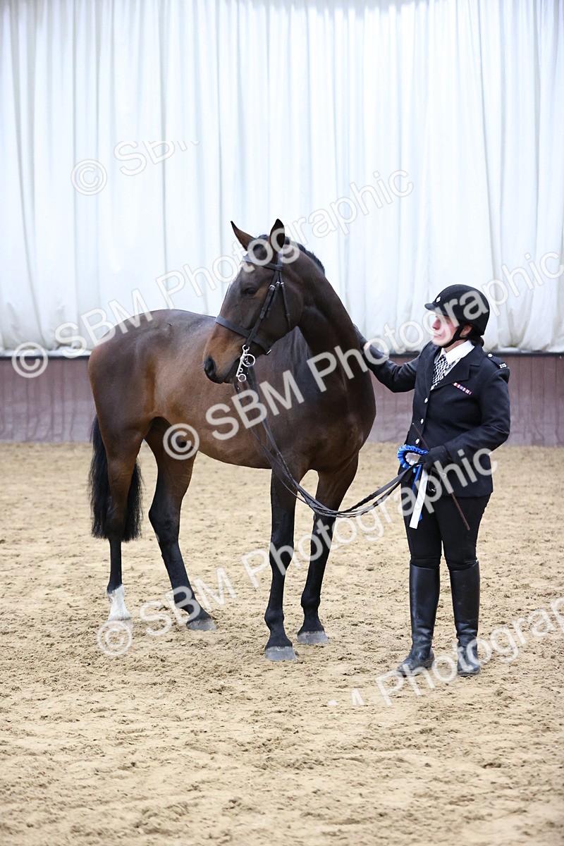 SBM_5785 - Class 3 - BSHA In Hand Show Hunter