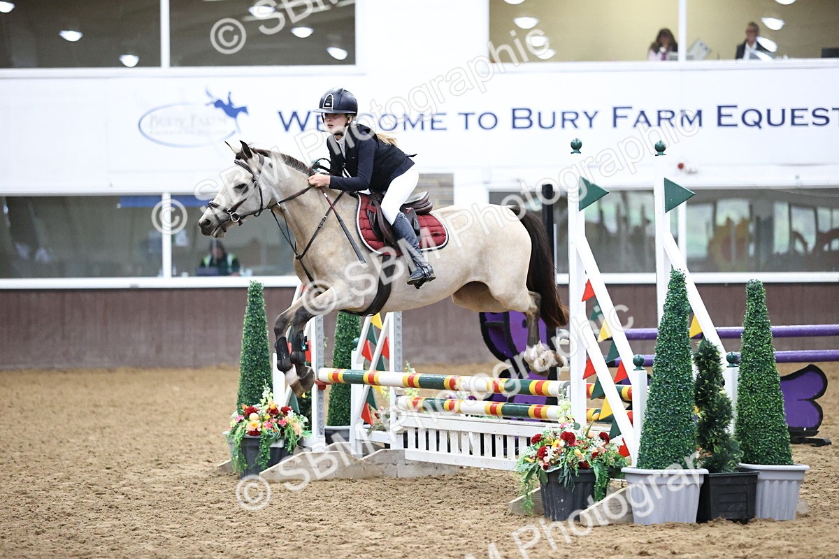 SBM_000182 - Class 2 - Pony British Novice - 80cm Open
