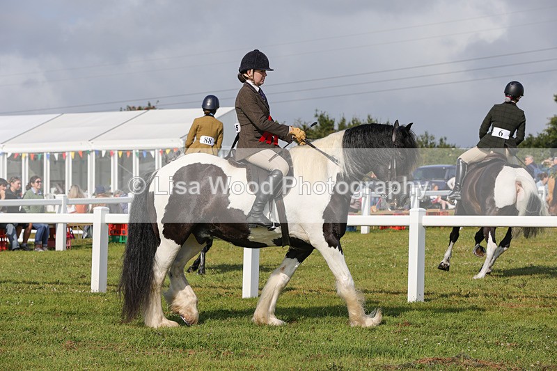1X9A3441 - Skewbald and Piebald Ridden Championship