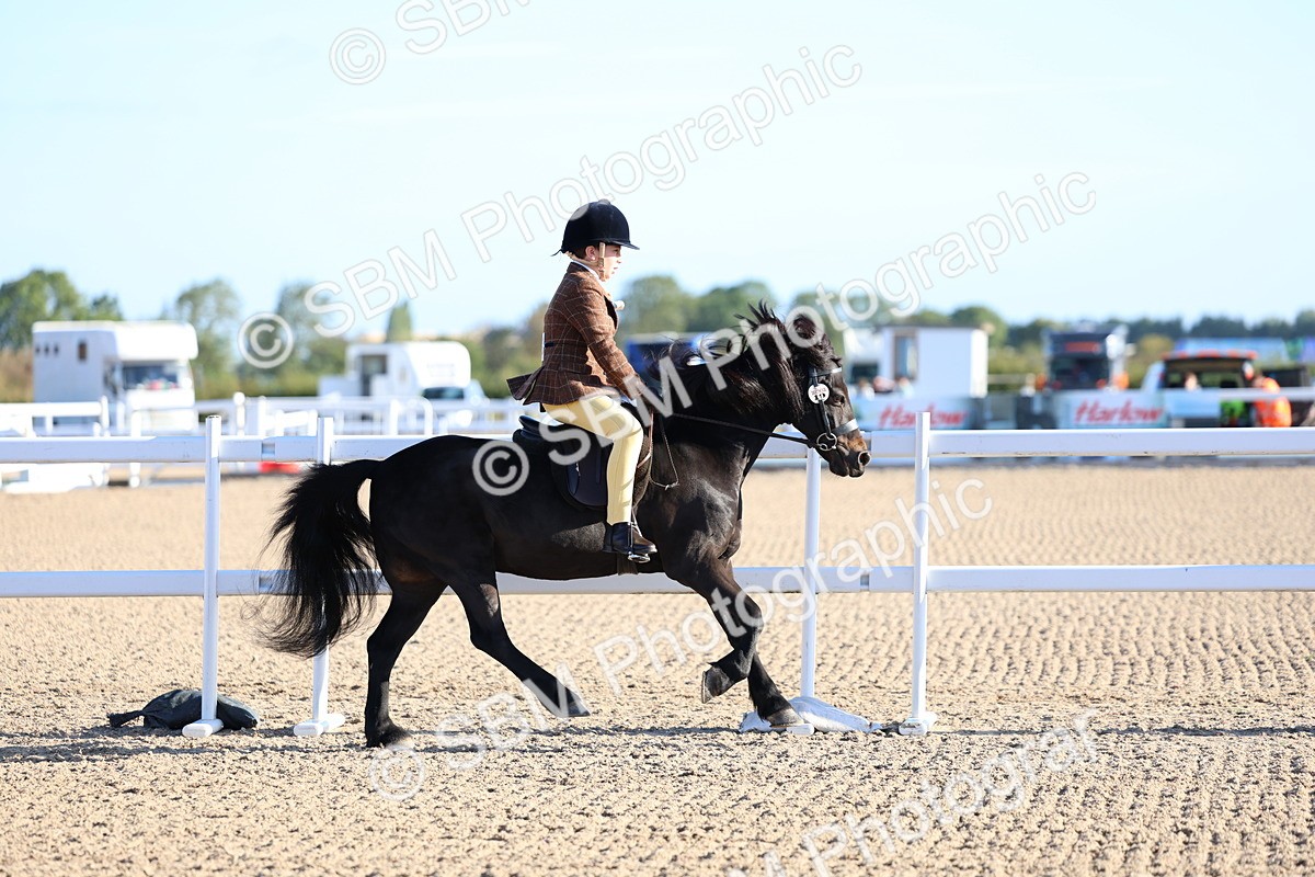 SBM_07804 - Class 301 - Ridden M&M - Small Breeds
