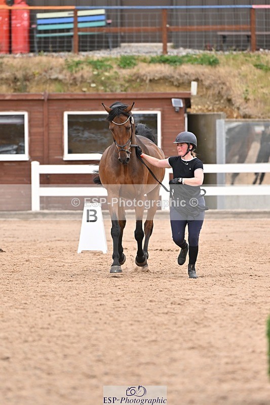 250716-160411-02383 - Trot Up 3.30 to 4.30